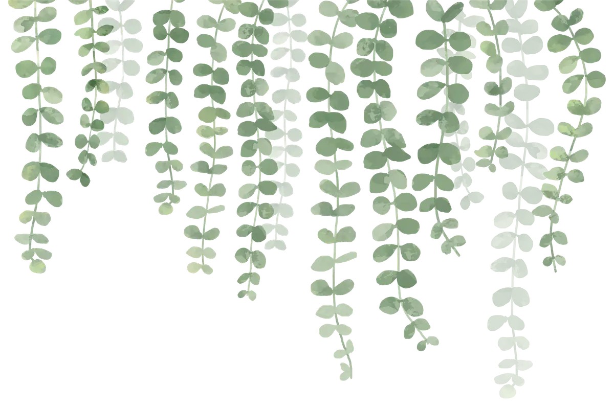 image-from-rawpixel-id-2731808-png copy